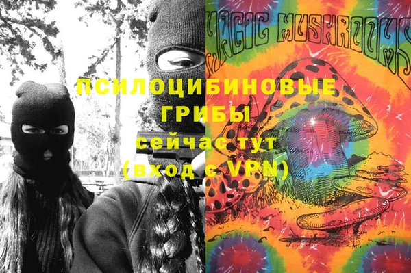 марки nbome Заводоуковск