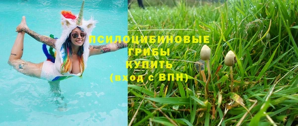 гидра Чердынь