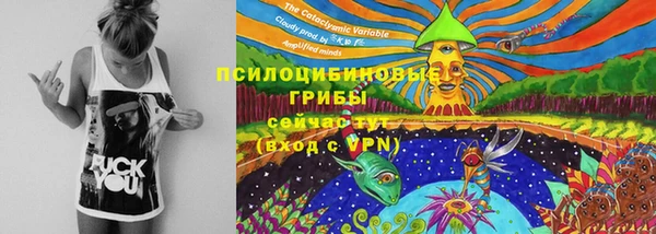 ECSTASY Чегем